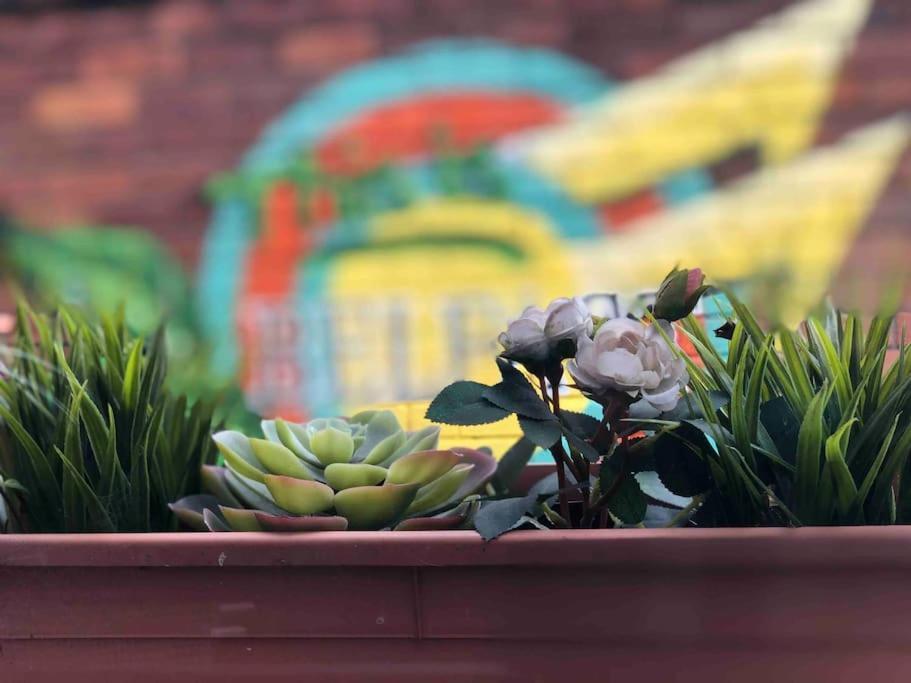 Cosy Two Bed Terraced House 7Min Drive From City เบลฟาสต์ ภายนอก รูปภาพ